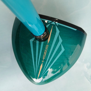 25년형, 스타쉬 5스타 파크 남성 파크골프채