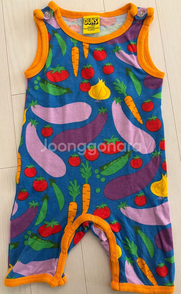 던스 가지 플수 74--0