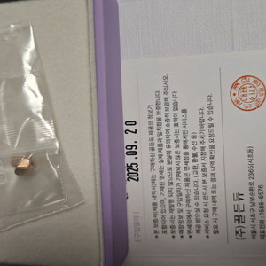 (새상품)듀이터널스 스몰 펜던트 로골