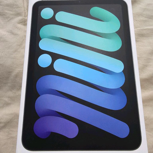 아이패드 미니7 wifi 128g 스페이스그레이 팝니다
