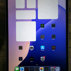 아이패드 프로 12.9 3세대 실버 256GB 셀룰러