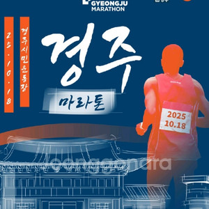 경주 마라톤 10km (남1 / 여1) 양도