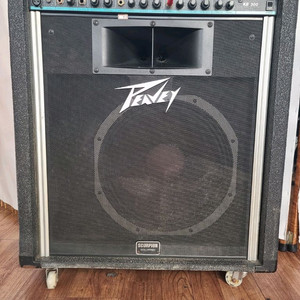 피베이 Peavey KB 300 키보드 앰프 스피커