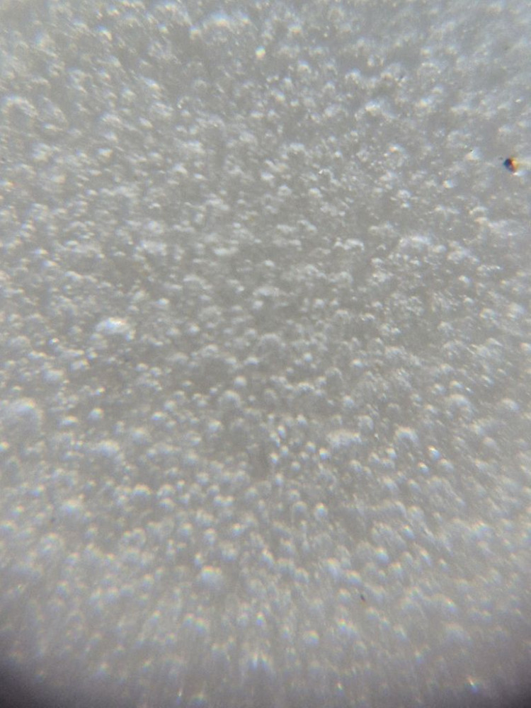 중국도자기 청화 백자 수초 어문 차호. 단지. 항아리. 이미지