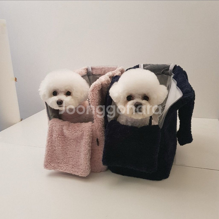 반려동물 강아지 이동가방 로라--4