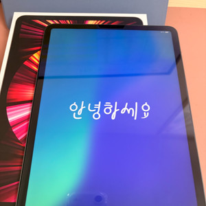 아이패드 프로 3세대 11인치 m1 256기가 스그 와