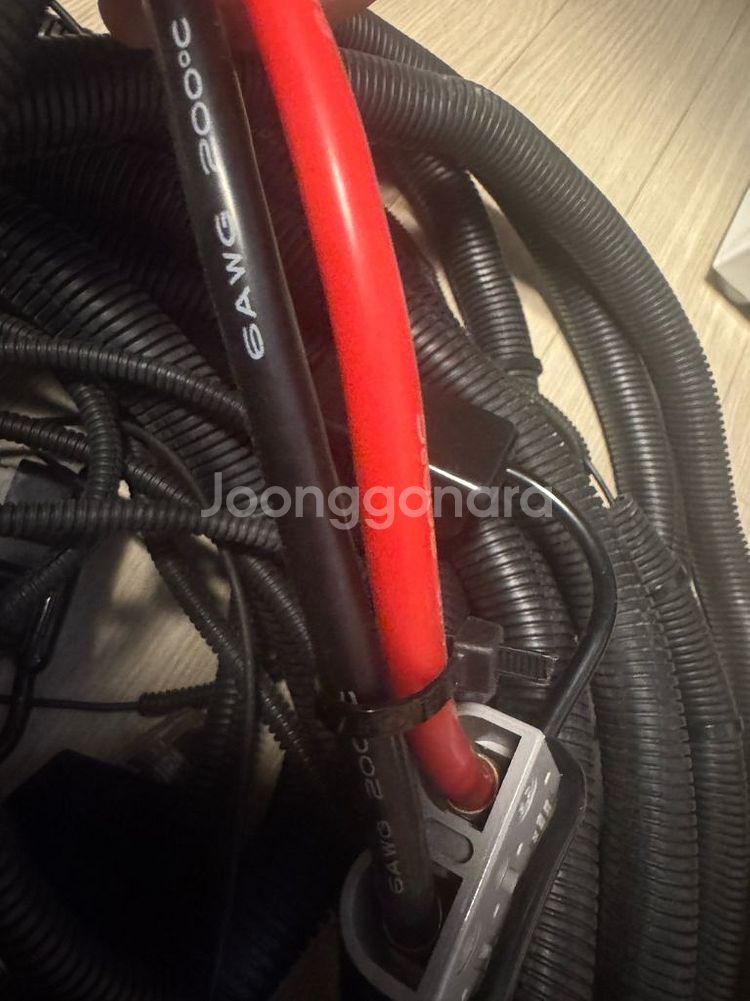 RENOGY DC-DC 60A 충전기--2