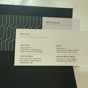 조선 호텔 리조트 다크 그린 호텔 숙박권