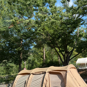 가마보코3m+루프쉴드 이미지