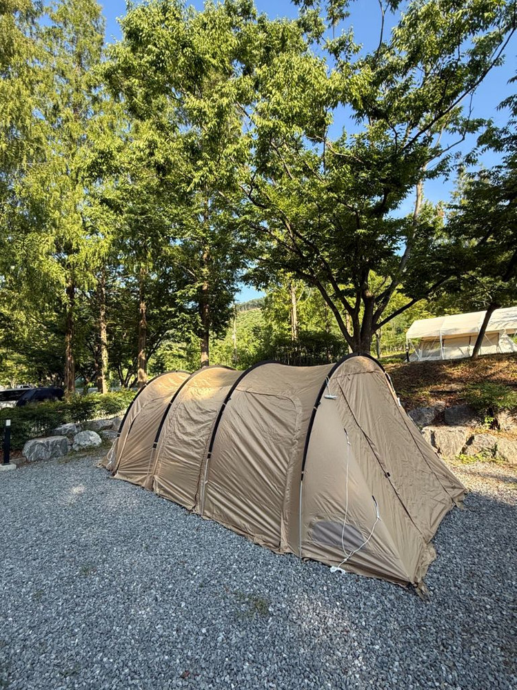 가마보코3m+루프쉴드 이미지