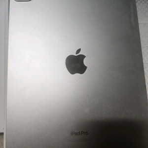 아이패드프로 11 4세대 256기가