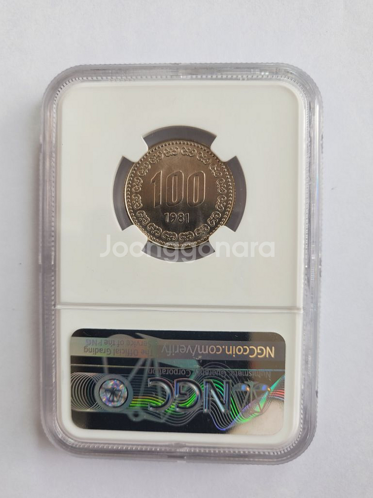 1981년100원 65등급 그레이딩주화--1