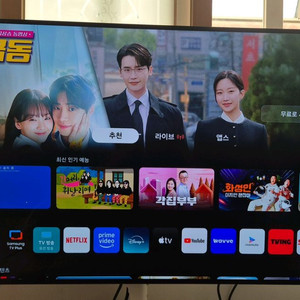 삼성 48인치 OLED TV KQ48SD90AEXKR