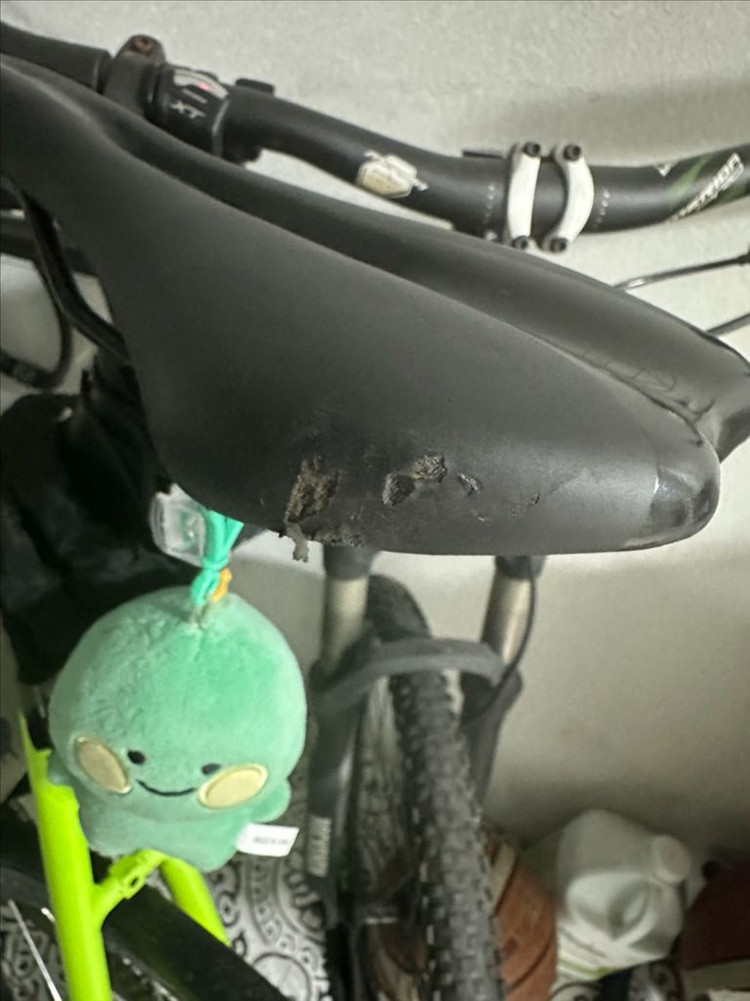 2024언노운 샤크 형광 M사이즈 급처 이미지