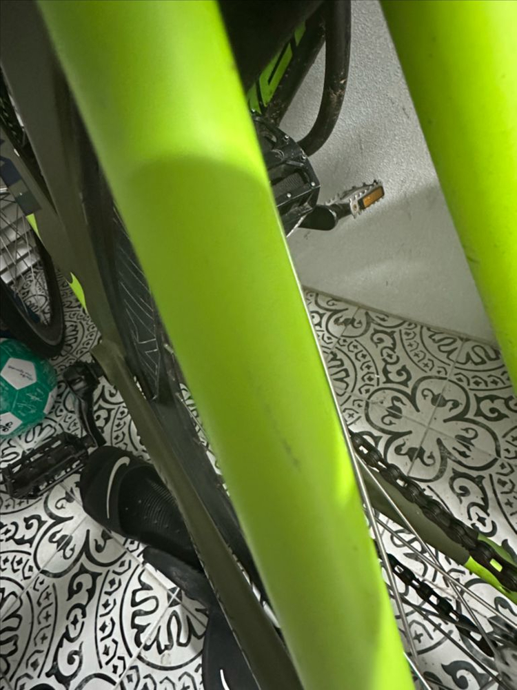 2024언노운 샤크 형광 M사이즈 급처 이미지