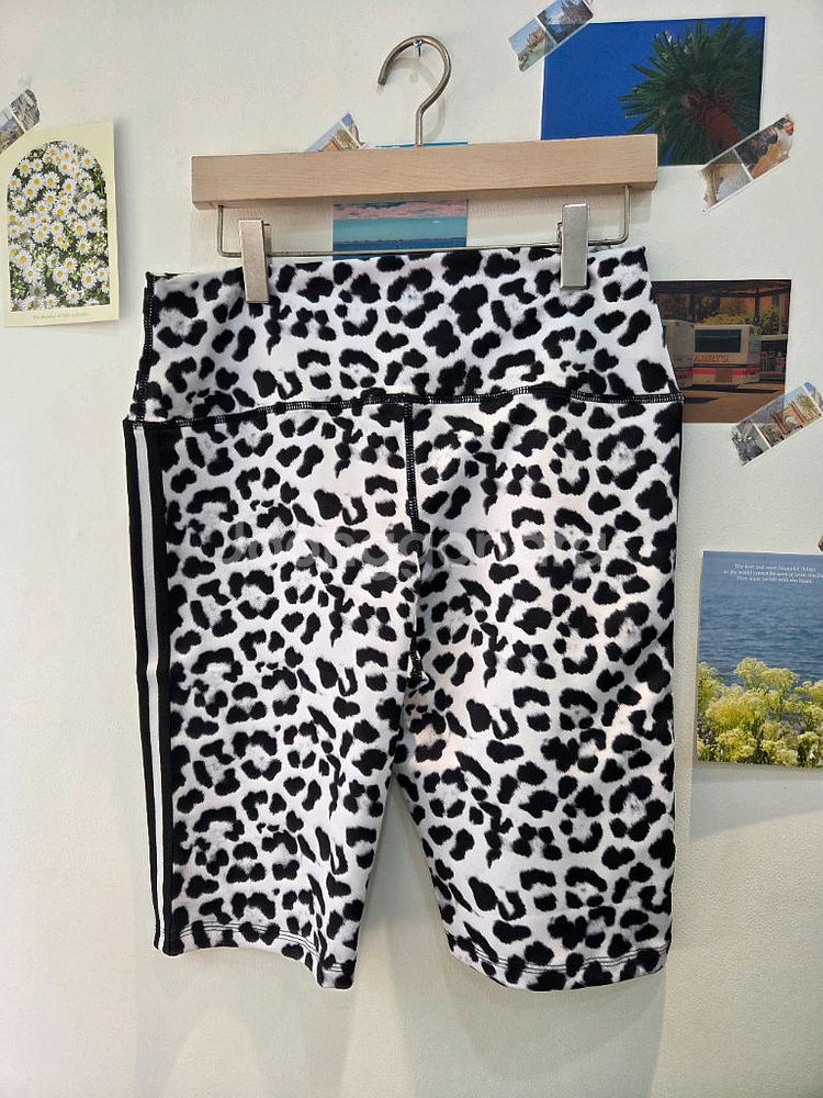 줌바 바지 상의--1