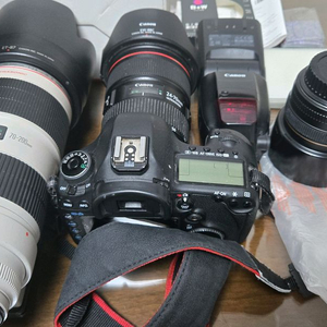 5D mark3 24-70 f/2.8 70-200 등