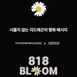 gd 818 옥스포드