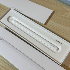 애플펜슬 C타입