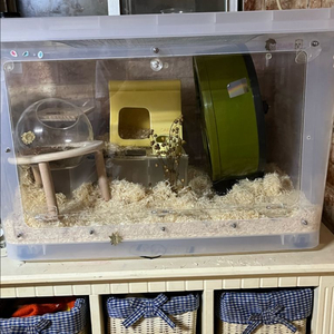 햄스터 케이지 120L 택배비 포함