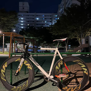 치넬리 비고렐리 대차 판매 합니다!