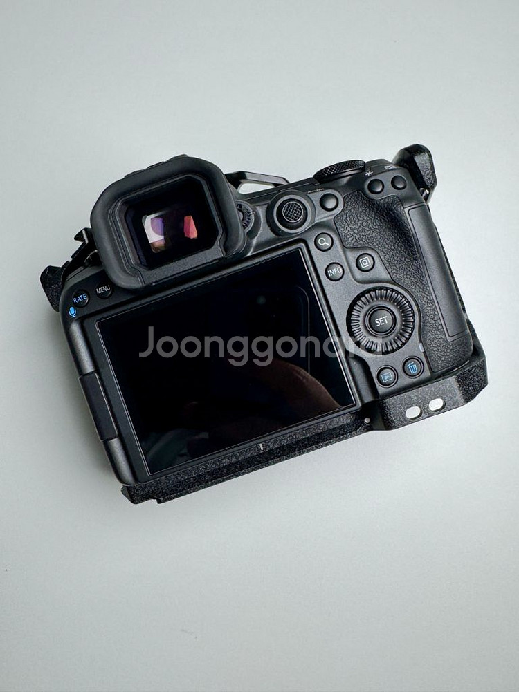 캐논 R5 mk2, RF 28-70 f2(왕계륵)--2