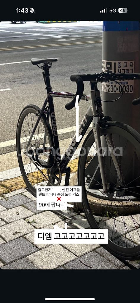 엔진 11 에스플랜트 2025 순정 신품깐지 1주--0