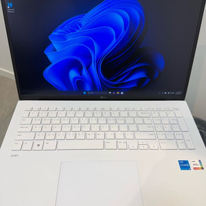 LG 그램 17인치 노트북