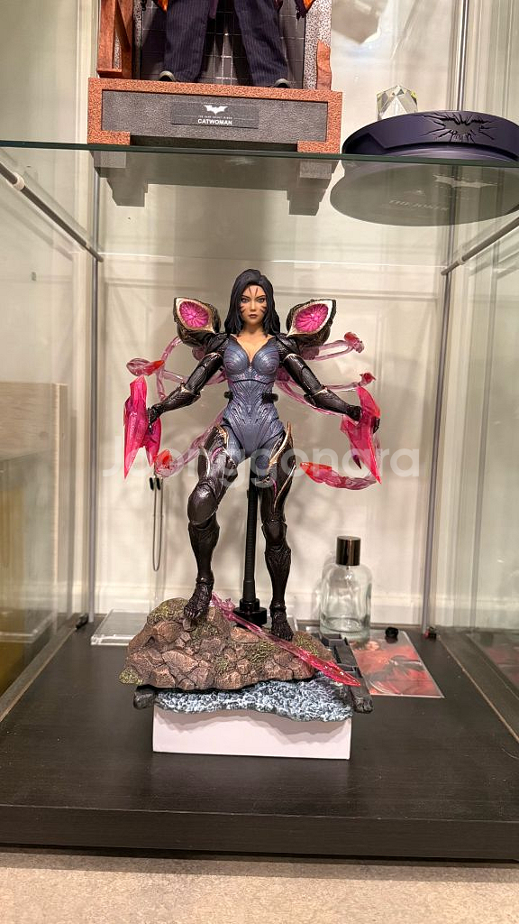 핫토이 카이사--0