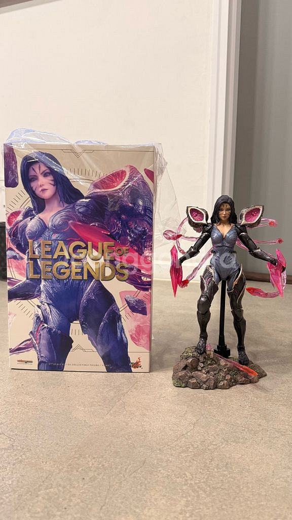 핫토이 카이사--2