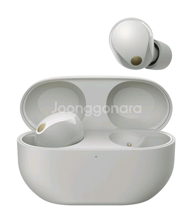 소니wf 1000xm5--0