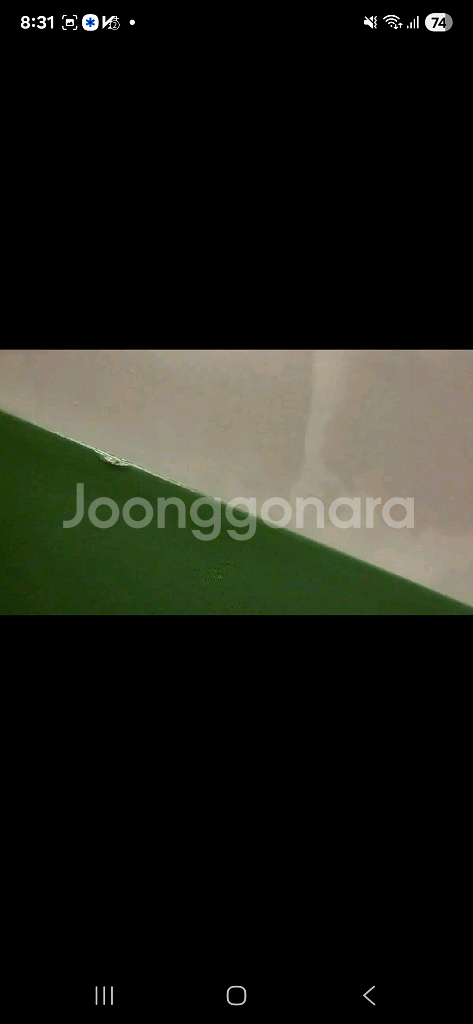 우마무스메 극장판 신시대의 문 블루레이 (토호 시--3