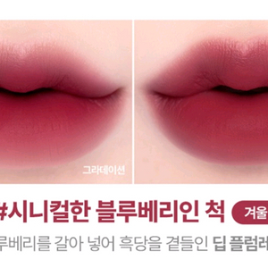 [10 시니컬한 블루베리인 척] 릴리바이레드 무드 라이