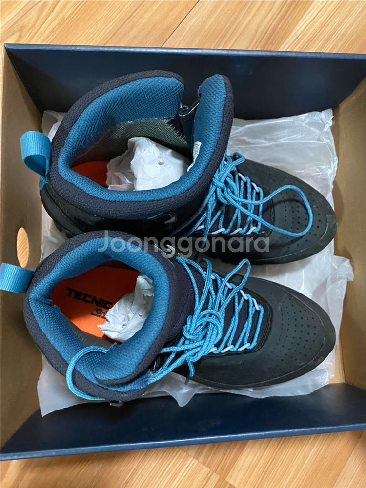 테크니카 포지 GTX--1