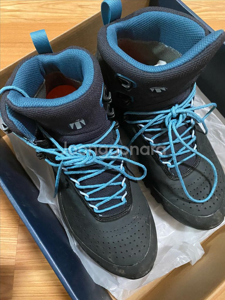 테크니카 포지 GTX--0