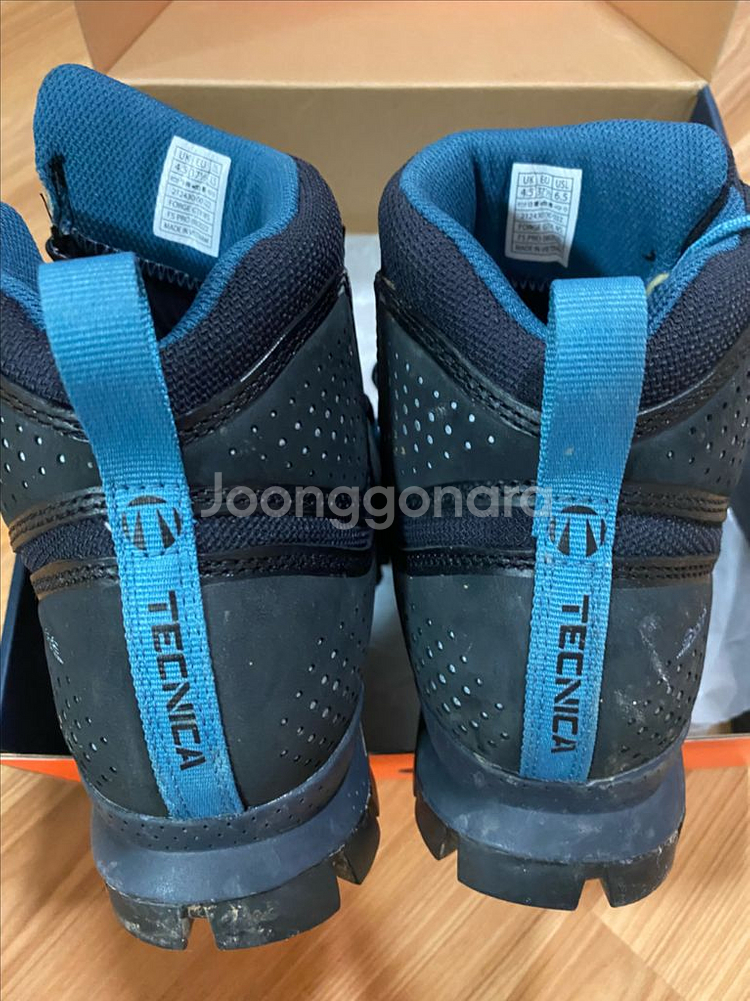 테크니카 포지 GTX--2