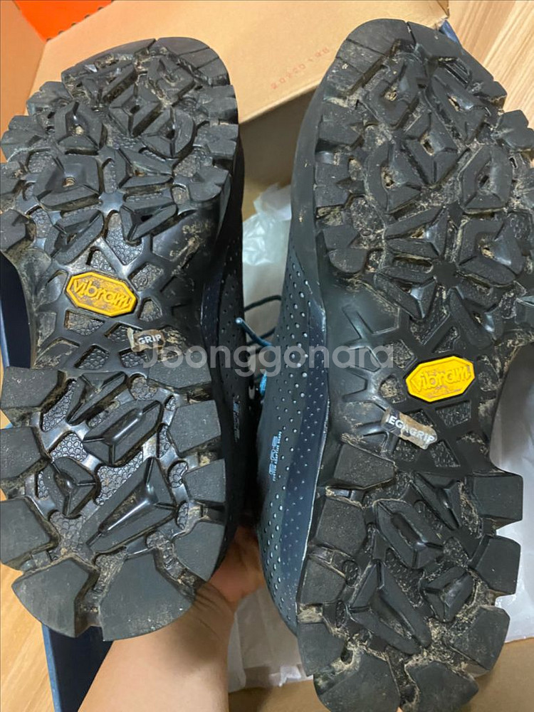 테크니카 포지 GTX--3