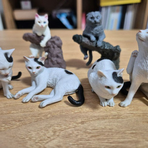 모리구치 오사무 고양이 1탄(4종+덤2)