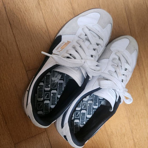 푸마 팔레르모 280