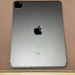 아이패드 프로 11 3세대 m1 셀룰러모델 256gb