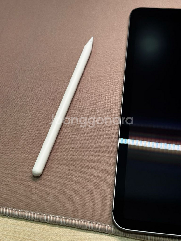 아이패드 프로 11 3세대 m1 셀룰러모델 256gb--4