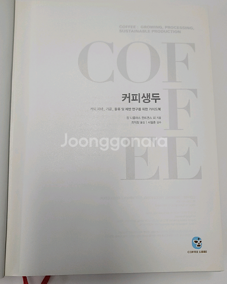 커피생두--1