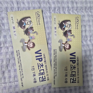 씨엠지월드 테마파크 입장권 2매