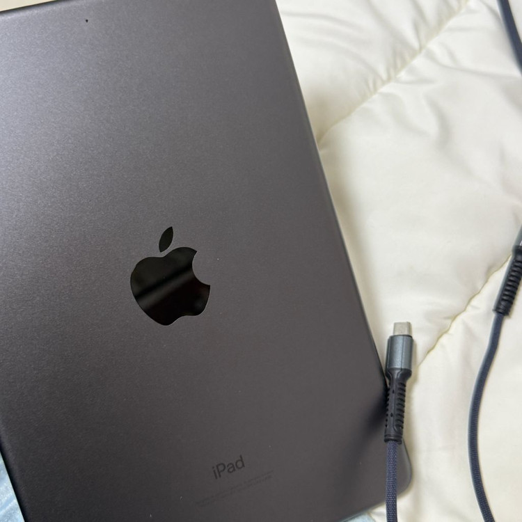 아이패드 미니 5세대 256 와이파이--1