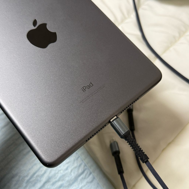 아이패드 미니 5세대 256 와이파이--2