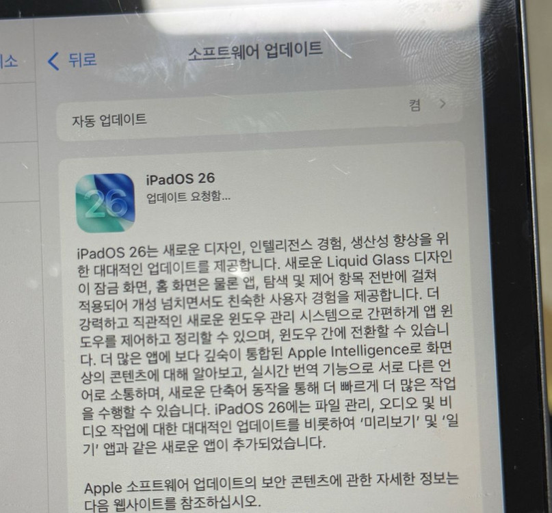 아이패드 미니 5세대 256 와이파이--8