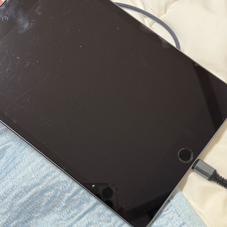 아이패드 미니 5세대 256 와이파이--5