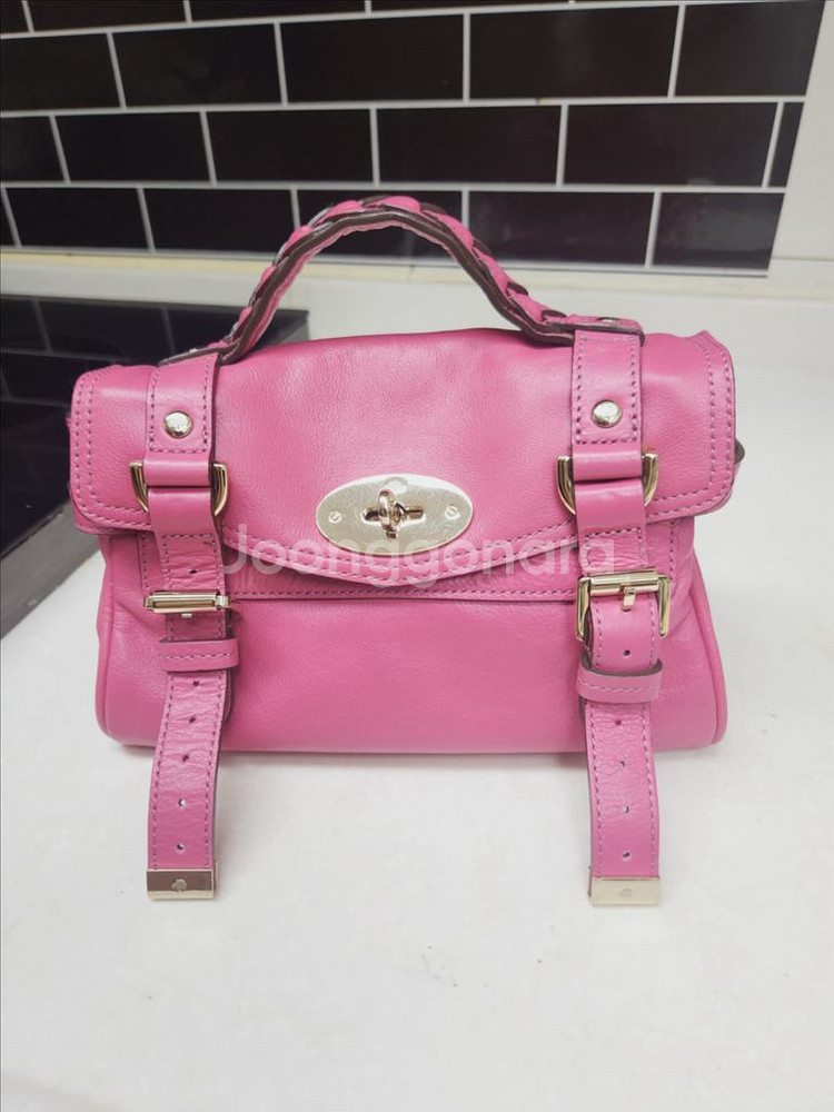 멀버리 미니 알렉사--0