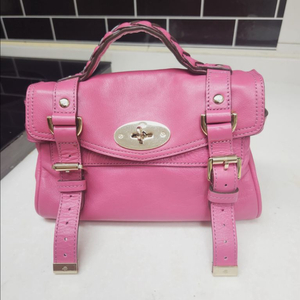 멀버리 미니 알렉사