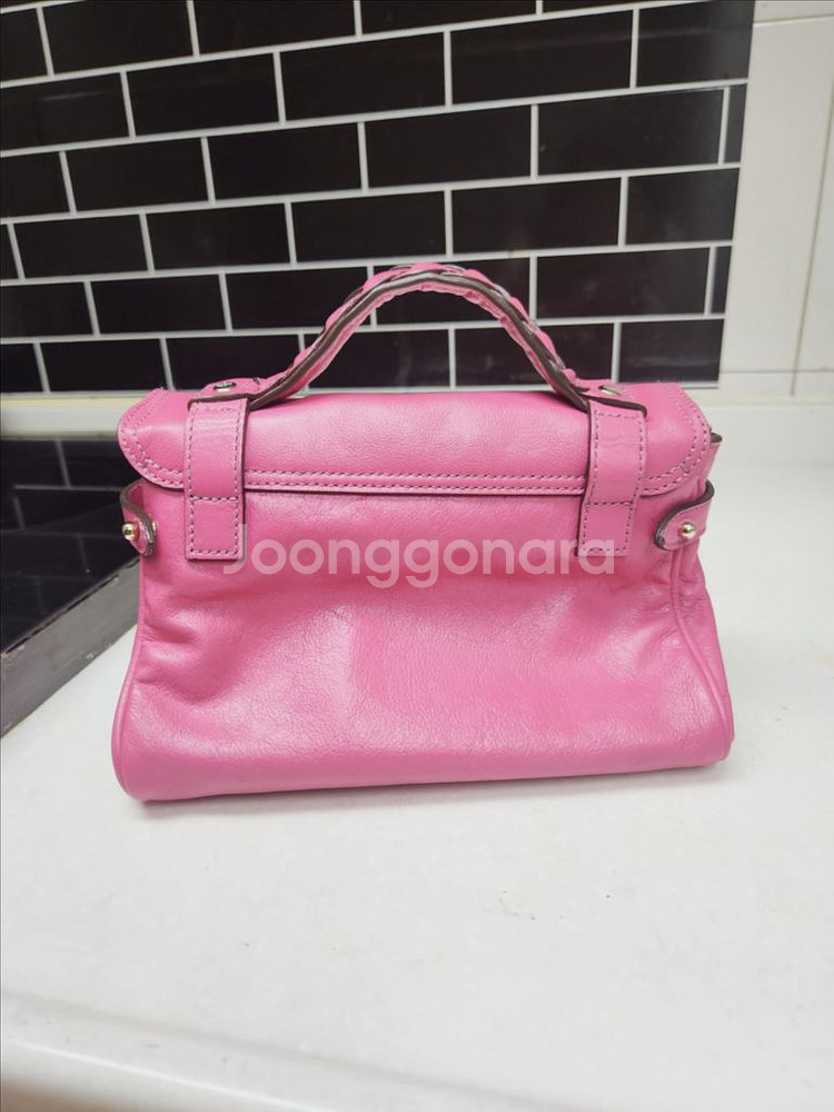 멀버리 미니 알렉사--2